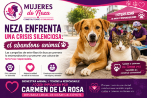 Neza enfrenta una crisis silenciosa: cada año más animales terminan en el abandono
